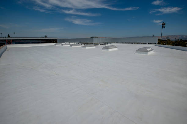 Best Steel Roofing  in Dano, CO