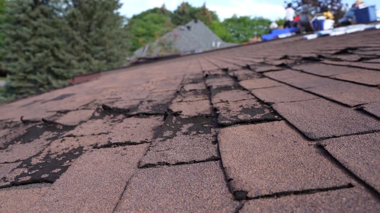 Best Rubber Roofing (EPDM, TPO)  in Dano, CO