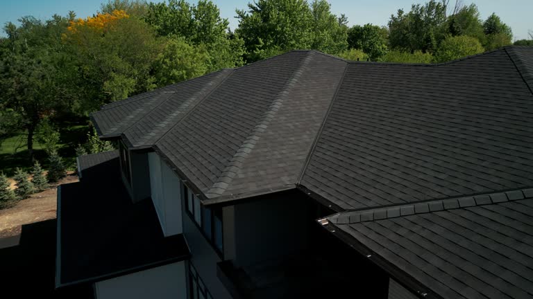 Best Asphalt Shingle Roofing  in Dano, CO