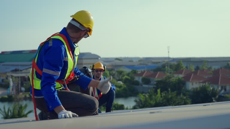 Best Sheet Metal Roofing  in Dano, CO