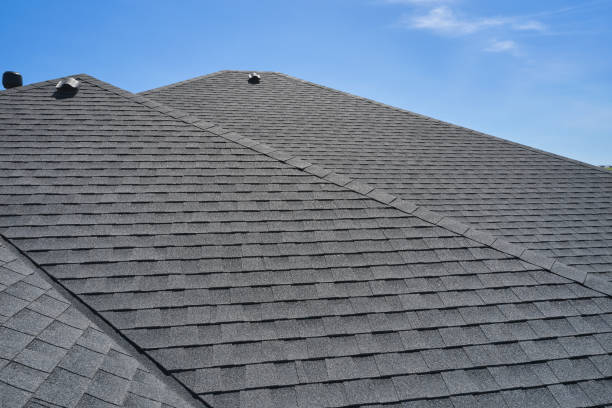 Best Roof Maintenance and Cleaning  in Dano, CO