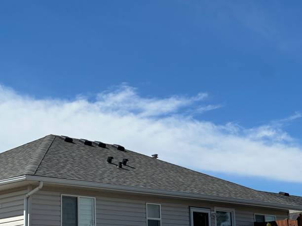 Best Skylight Installation and Repair  in Dano, CO